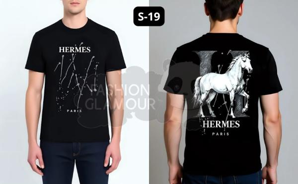 HERMES S19